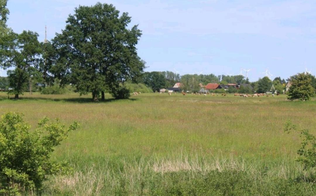 Spreewald Ferienwohnung Noack Lübben Exteriör bild