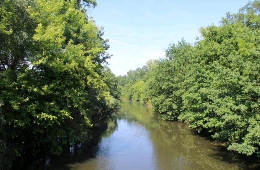 Spreewald Ferienwohnung Noack Lübben Exteriör bild