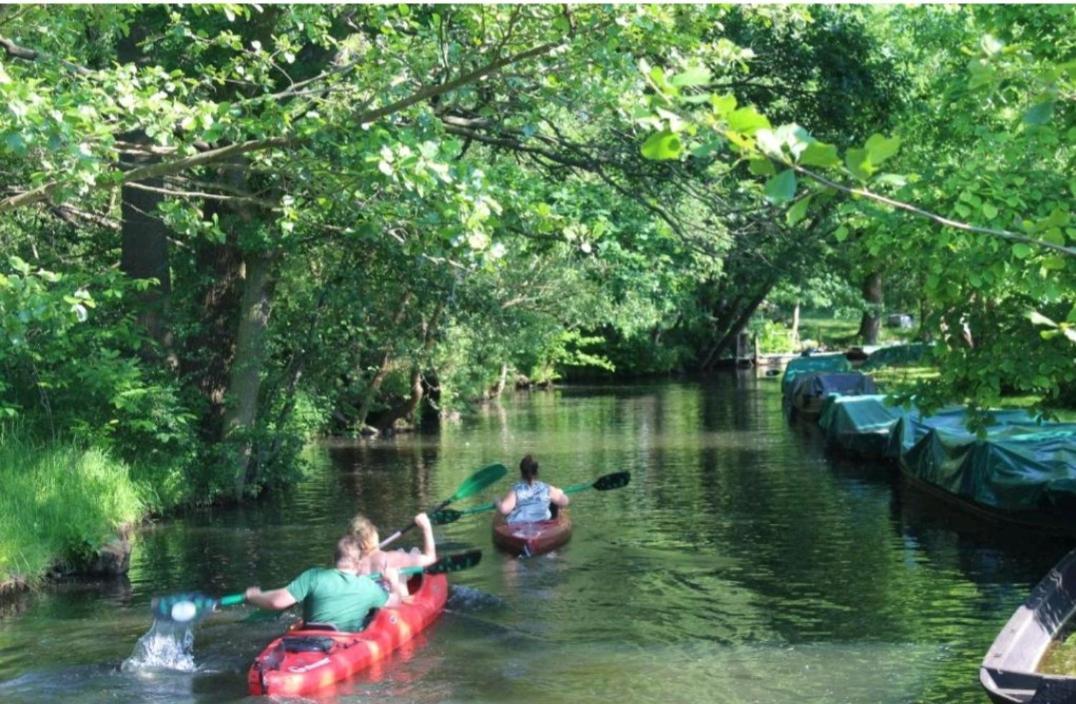 Spreewald Ferienwohnung Noack Lübben Exteriör bild