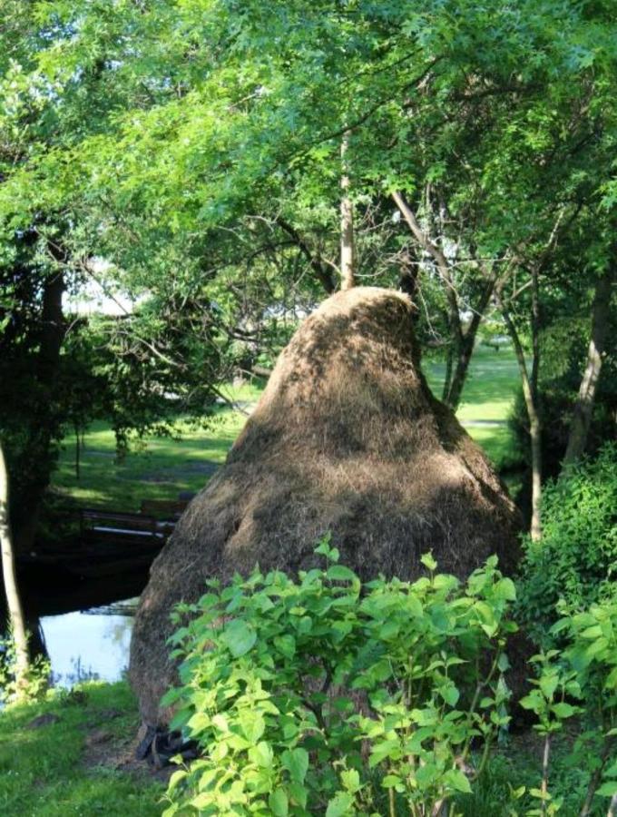 Spreewald Ferienwohnung Noack Lübben Exteriör bild